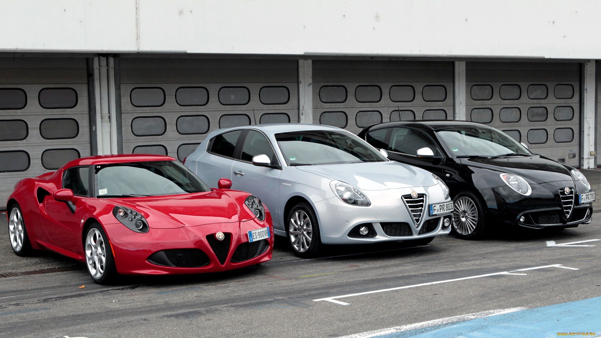 alfa romeo, , alfa, romeo, automobiles, s, p, a, fiat, group, , 